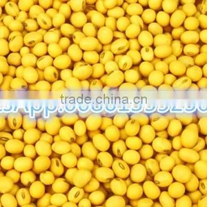 Factory Price Corn Cold Oil Press Machine for Export / Oil Press Machine thumbnail-2