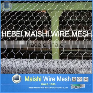 Bird Screen Wire Mesh Pvc Coated and Galvanized thumbnail-3