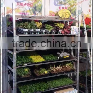 Display Flower Pot Shelf Rack With Caster thumbnail-3