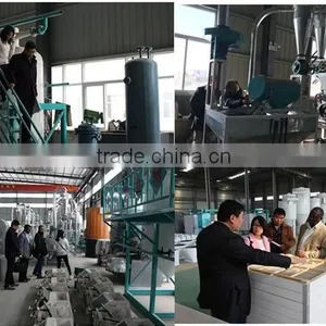 50T/Day Maize Flour Production Line Corn Grits Mill Plant Cereal Grain Crusher Grinding Machine thumbnail-4