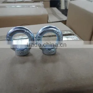 Hardware C15E Steel Forged Galvanized Din582 Lifting Anchor Bolt and Nut thumbnail-1