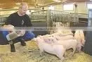 Feed Soya Protein thumbnail-1