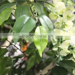 Home Garden Deco 50cm to 400 cm Hight Artificial White Large Chinese Wistaria EDHS1501 1604 thumbnail-1