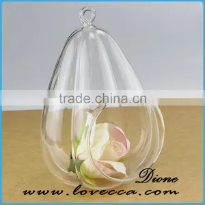 Hanging Glass Terrarium/ Clear Glass Terrarium Globe/ Glass Ball Terrarium thumbnail-4