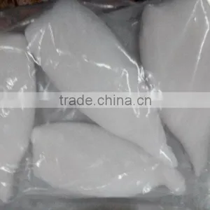 Frozen Tordarodes and Argentina Squid Tube U10,U7,U5 thumbnail-5