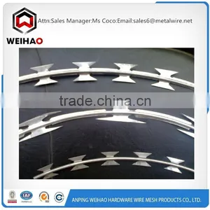 Paraguay Salable PVC Coating Guard Against Theft Razor Barbed Wire/razor Wire thumbnail-6