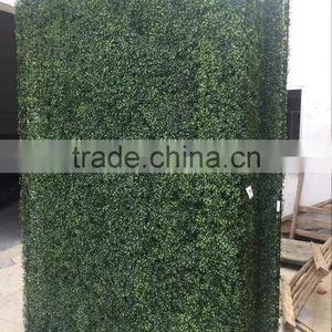Dongguan LZY Outdoor Artificial Boxwood Hedge Wall thumbnail-1