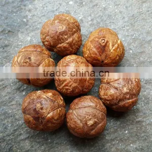 15 Beads Phoenix Eye Bodhi Seed Genuine Indonesian Buddha Chitta Mala Phrengba thumbnail-6