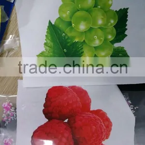 Jiabao Best Price PET Release Coating Film for Screen and Offset Printing thumbnail-3