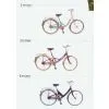 China (Mainland) Lady Bicycle thumbnail-1