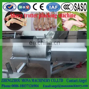 Working Effect Leg Hair Removal Machine Goat Processing Cleaning Machine thumbnail-4