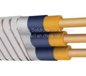 ESP Cable thumbnail-4