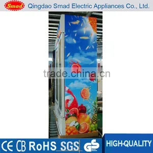 Energy Drink Bottle Cooler Coke Fridge Display Fridge thumbnail-1