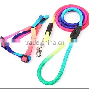 Wholesale Pet Supplies Dog Rope Chain Colorful Round Harness Leash thumbnail-1