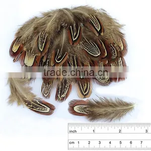 Wholesale 65-70cm Natural Ringneck Pheasant Feathe for Party Decorating, thumbnail-2