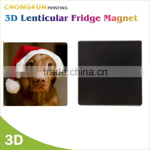 Funny Design Animal Picture Printed Cat Fridge Magnets thumbnail-2