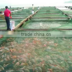 Eastline Food (Zhaoqing) Limited company overview - view 2 thumbnail