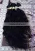 100% Pure Virgin Curly Hair thumbnail-1
