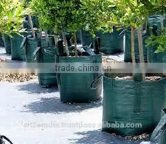 Nursery Planting Bags For a Wide Variety Of Crops thumbnail-1
