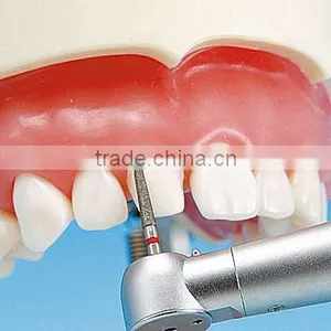 Low Price Good Quality Plastic Teeth Model Hot Sale Dental Material thumbnail-3