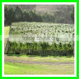 Light Weight Extruded New Hdpe Bird Netting Fruits Tree Covering Trellis Mesh thumbnail-4