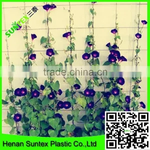 SUPER Wire Mesh Back Support for Growing Plants Climbing Plant Support Mesh thumbnail-1