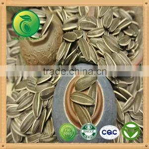 Organic Sunflower Seeds thumbnail-1
