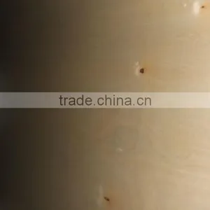 17MMX1220X2440 UV White Birch Plywood thumbnail-2