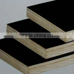18MMX1220X2440 Russia Birch Core Film Faced Plywood thumbnail-6