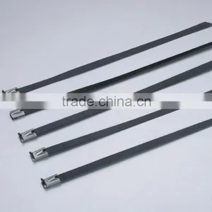Offer Stainless Steel Lock Ball Ties/SS CABLE TIES (material:304-201-316 ) 12*850 thumbnail-5