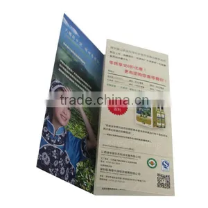 Cheap Advertising Flyer, Leaflet, Folding Printing Quality Choice thumbnail-2