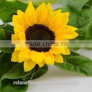 Good Smell Peonies Cut Flowers Chinese Sunflower From Kunming thumbnail-1