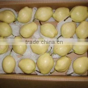Bagged Early su Pear thumbnail-1