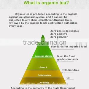 Chinese Organic Green Tea thumbnail-5