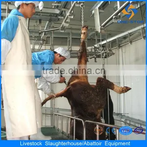 Donkey Slaughterhouse Line Donkey Pneumatic (Air-operated Drive) Lifting Platform, Pneumatic Elevator Donkey Slaughter Line thumbnail-2