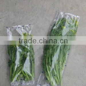 FFC 450 Fresh Leaf Vegetable Packing Machine thumbnail-1
