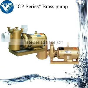Swimming Pool Brass Centrifugal Pump thumbnail-1