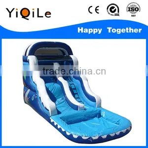 Giant Inflatable Water Slide For Adult thumbnail-1