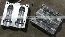 3000ml 2 Cavity Plastic Bottle Mould thumbnail-1