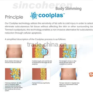 Most Effective Cryo Machine Weight Loss Cooplas Fat Freezing Beauty Equipment thumbnail-4