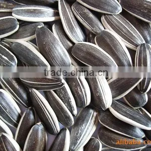 The Lowest Price Of Sunflower Seeds 5009 With High Quality thumbnail-4