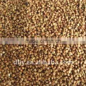 Roasted Buckwheat Kernel thumbnail-1