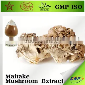 Best Business Buy Maitake Mushroom Powder thumbnail-1