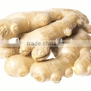 Supply Air-Dried Ginger for the UK &Spain thumbnail-3