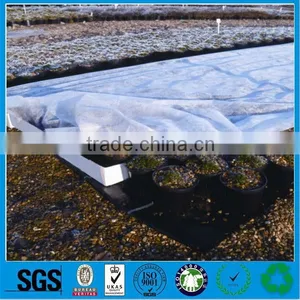 PP Spunbond Nonwoven Fabric Polipropileno Crop Cover With UV Resistant thumbnail-1