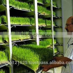 StarMax Hydroponic Fodder System thumbnail-3