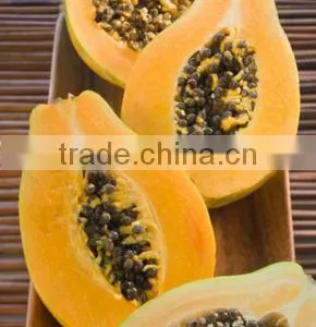 Papaya Fruit Microwave Vacuum Dryer thumbnail-4