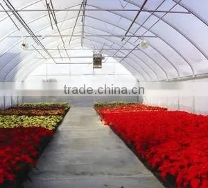 Agriculture Green House in Single Span Plastic Film Greenhouse thumbnail-1