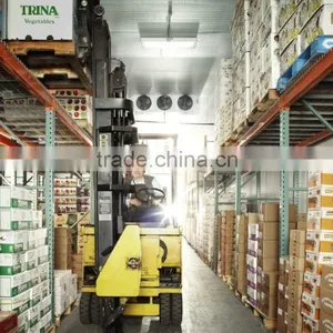 Used Prefabricated Vegetable Warehouse Buildings for Sale thumbnail-2
