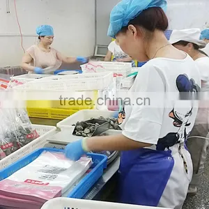 Frozen Whole Boiled Clam China Seafood thumbnail-2